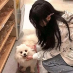 舞蹈传奇破解版下载